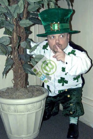 Leprechaun1-watermarked.jpg