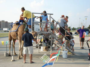 camel_rides_circus.jpg