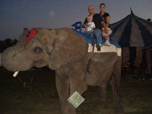 elephant_rides.jpg
